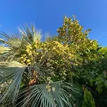 Holiday home Trulli And Nature *