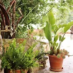 Trulli And Nature * Antonelli