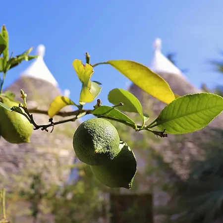 Trulli And Nature *