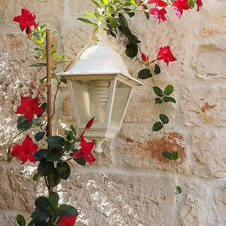 Trulli And Nature Antonelli