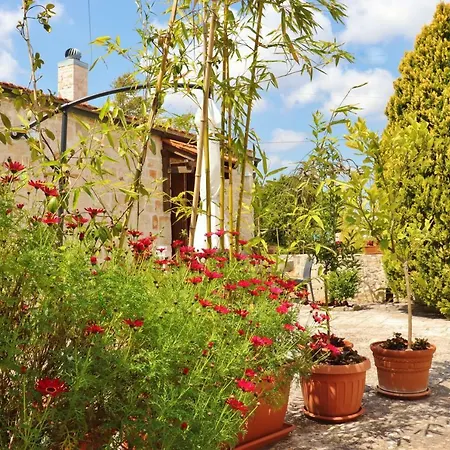 Casa vacanze Trulli And Nature *